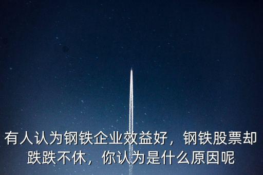 有人認(rèn)為鋼鐵企業(yè)效益好，鋼鐵股票卻跌跌不休，你認(rèn)為是什么原因呢