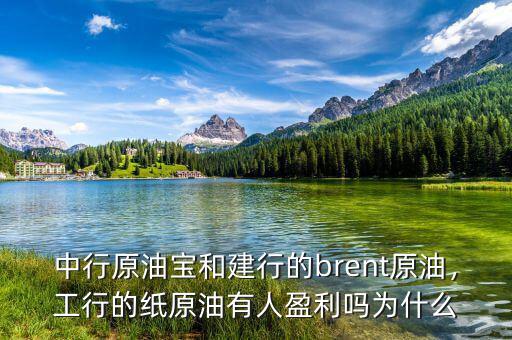 中行原油寶和建行的brent原油，工行的紙?jiān)陀腥擞麊釣槭裁? class=
