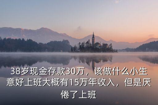38歲現(xiàn)金存款30萬，該做什么小生意好上班大概有15萬年收入，但是厭倦了上班