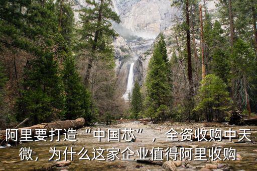 阿里要打造“中國芯”，全資收購中天微，為什么這家企業(yè)值得阿里收購