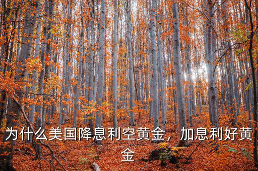 為什么美國降息利空黃金，加息利好黃金