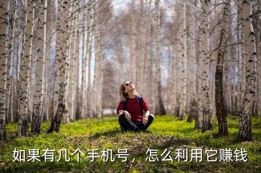 如果有幾個(gè)手機(jī)號，怎么利用它賺錢