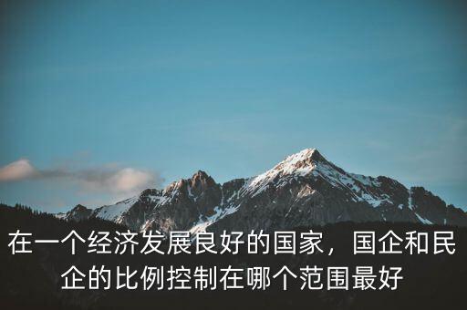 在一個經(jīng)濟發(fā)展良好的國家，國企和民企的比例控制在哪個范圍最好