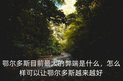 鄂爾多斯目前最大的弊端是什么，怎么樣可以讓鄂爾多斯越來越好