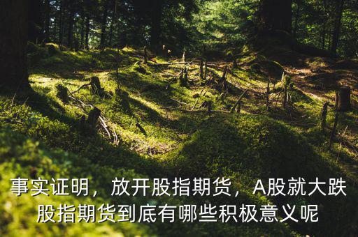 事實(shí)證明，放開股指期貨，A股就大跌股指期貨到底有哪些積極意義呢