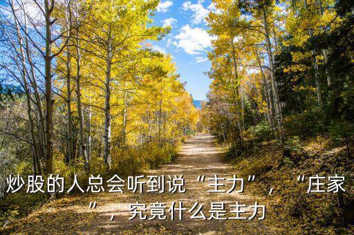 炒股的人總會聽到說“主力”，“莊家”，究竟什么是主力