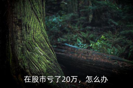 在股市虧了20萬，怎么辦