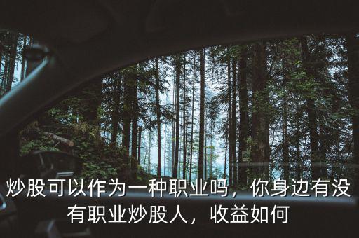 炒股可以作為一種職業(yè)嗎，你身邊有沒有職業(yè)炒股人，收益如何