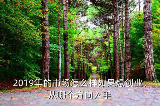 2019年的市場怎么樣如果想創(chuàng)業(yè)，從哪個方向入手