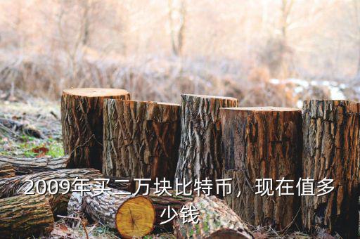 2009年買二萬(wàn)塊比特幣，現(xiàn)在值多少錢