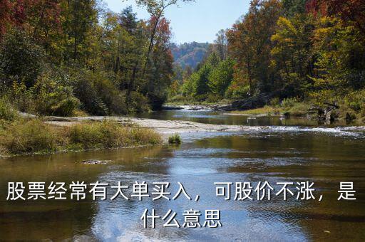股票經常有大單買入，可股價不漲，是什么意思