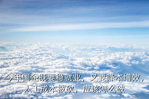 今年國企既要穩(wěn)就業(yè)，又要降本增效，人工成本被砍，應該怎么破