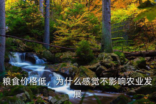 糧食價格低，為什么感覺不影響農(nóng)業(yè)發(fā)展