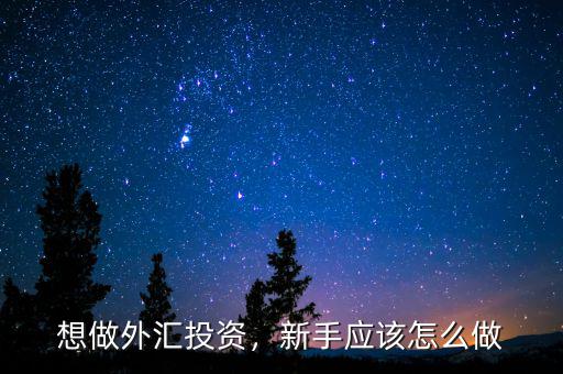 想做外匯投資，新手應(yīng)該怎么做