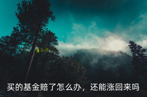 買的基金賠了怎么辦，還能漲回來嗎