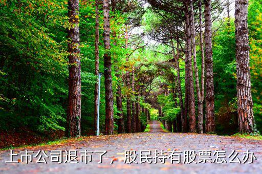 上市公司退市了，股民持有股票怎么辦