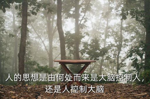 人的思想是由何處而來是大腦控制人，還是人控制大腦