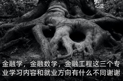 金融學(xué)，金融數(shù)學(xué)，金融工程這三個(gè)專業(yè)學(xué)習(xí)內(nèi)容和就業(yè)方向有什么不同謝謝