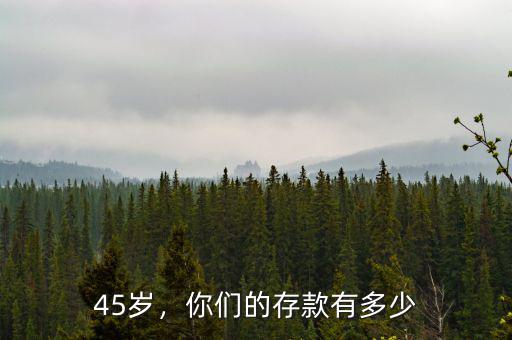 45歲，你們的存款有多少
