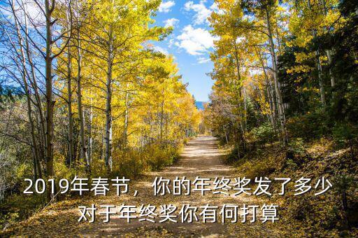 2019年春節(jié)，你的年終獎(jiǎng)發(fā)了多少對(duì)于年終獎(jiǎng)你有何打算