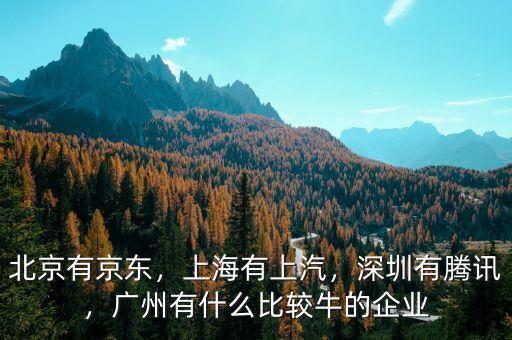 北京有京東，上海有上汽，深圳有騰訊，廣州有什么比較牛的企業(yè)