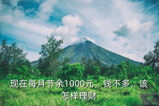 現(xiàn)在每月節(jié)余1000元，錢(qián)不多，該怎樣理財(cái)