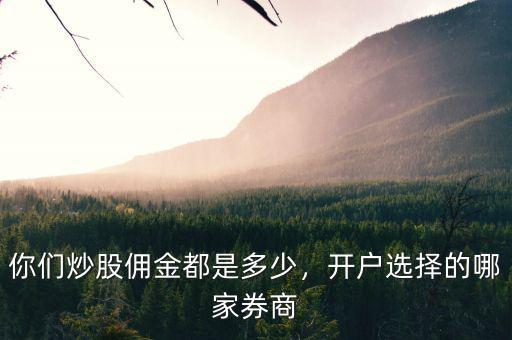 你們炒股傭金都是多少，開戶選擇的哪家券商