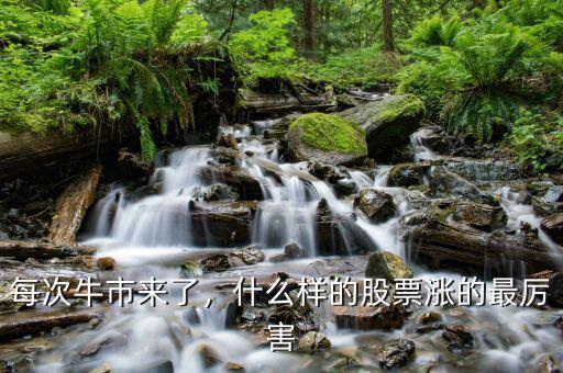 每次牛市來了，什么樣的股票漲的最厲害