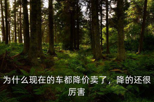 為什么現(xiàn)在的車都降價(jià)賣了，降的還很厲害