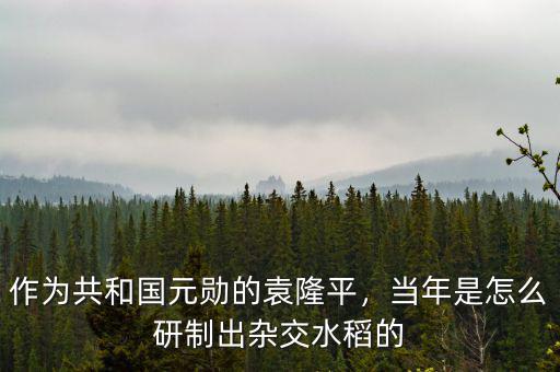 作為共和國元勛的袁隆平，當(dāng)年是怎么研制出雜交水稻的