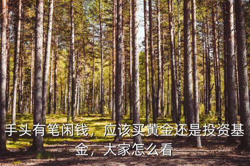 手頭有筆閑錢，應該買黃金還是投資基金，大家怎么看