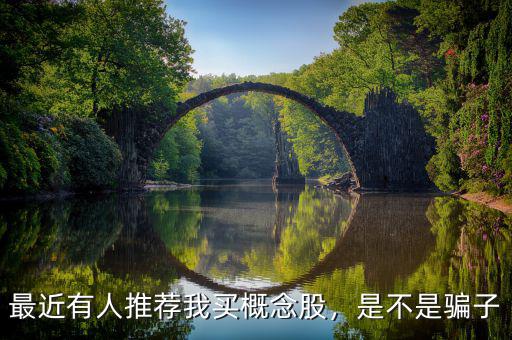 最近有人推薦我買(mǎi)概念股，是不是騙子