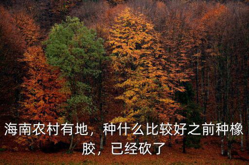 海南農(nóng)村有地，種什么比較好之前種橡膠，已經(jīng)砍了