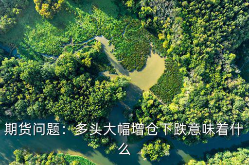 空頭增倉(cāng)是什么意思,空頭減倉(cāng)。多頭增倉(cāng)