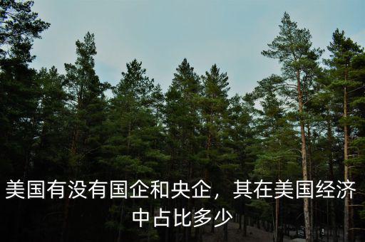 美國有沒有國企和央企，其在美國經(jīng)濟中占比多少