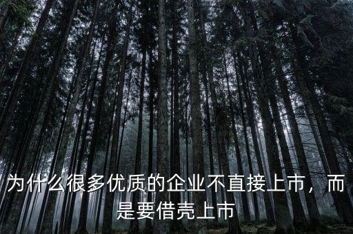 為什么很多優(yōu)質的企業(yè)不直接上市，而是要借殼上市