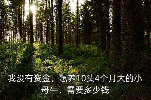 我沒有資金，想養(yǎng)10頭4個月大的小母牛，需要多少錢