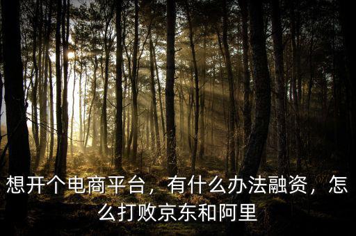 想開個電商平臺，有什么辦法融資，怎么打敗京東和阿里