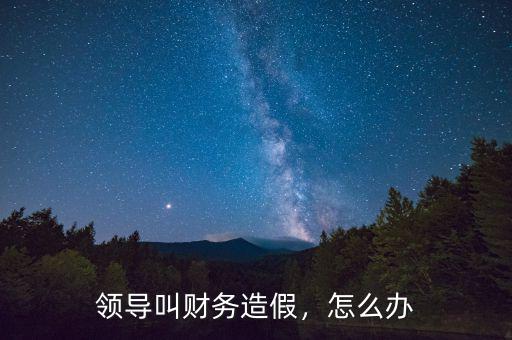 領導叫財務造假，怎么辦