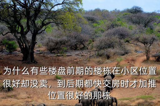 為什么有些樓盤前期的樓棟在小區(qū)位置很好卻沒賣，到后期都快交房時才加推位置很好的那棟