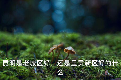 昆明是老城區(qū)好，還是呈貢新區(qū)好為什么