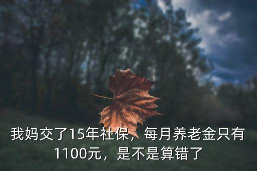 我媽交了15年社保，每月養(yǎng)老金只有1100元，是不是算錯了