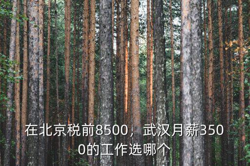 在北京稅前8500，武漢月薪3500的工作選哪個(gè)