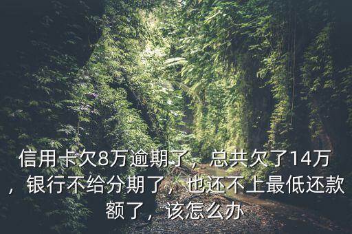 信用卡欠8萬逾期了，總共欠了14萬，銀行不給分期了，也還不上最低還款額了，該怎么辦