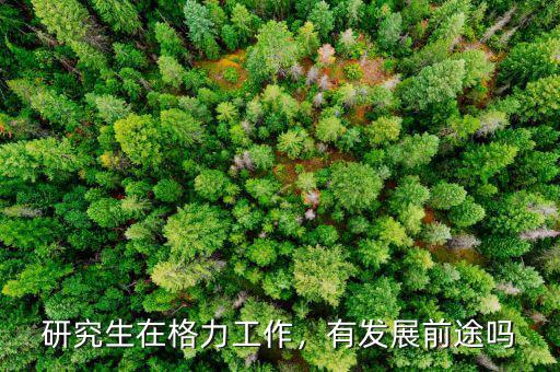 研究生在格力工作，有發(fā)展前途嗎