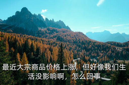 最近大宗商品價格上漲，但好像我們生活沒影響啊，怎么回事