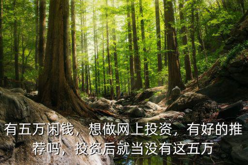 有五萬(wàn)閑錢，想做網(wǎng)上投資，有好的推薦嗎，投資后就當(dāng)沒(méi)有這五萬(wàn)