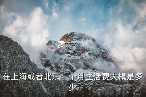 在上?；蛘弑本┮粋€月生活費大概是多少