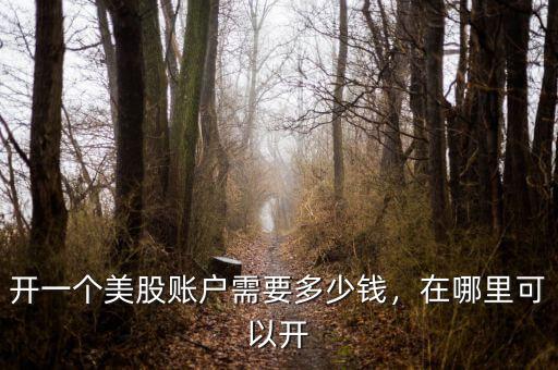 開一個(gè)美股賬戶需要多少錢，在哪里可以開