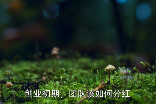 創(chuàng)業(yè)初期，團隊該如何分紅